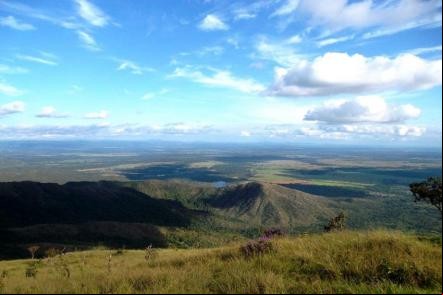 Paisagem e flora da chapada noutro 